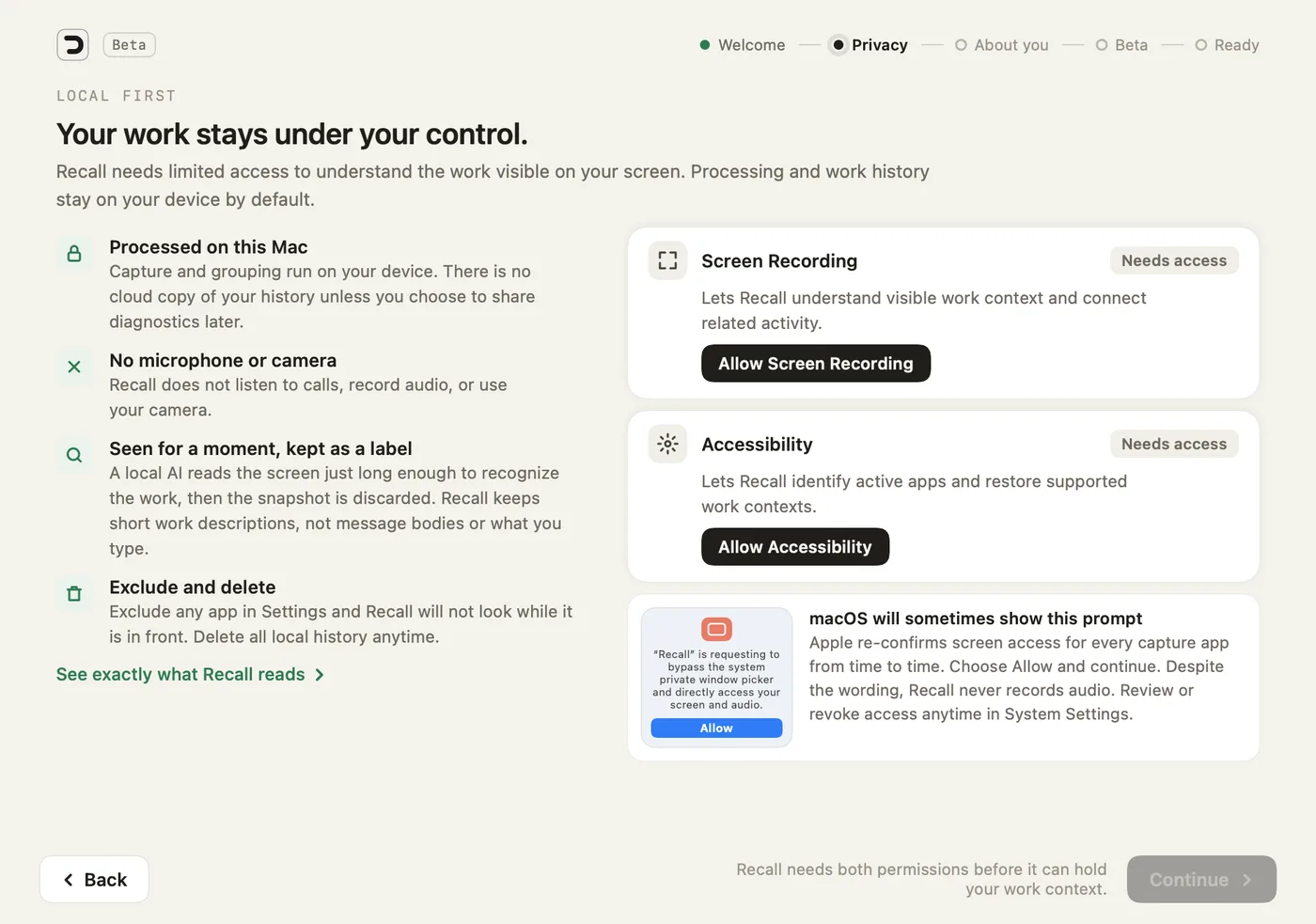 Setup step 2, Privacy, with both permissions still needed